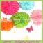 Hot Sell Color Tissue Paper Pom Poms Flower Balls