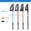 Top Quality Flexible Alpenstock hiking poles
