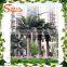 Songtao wholesale artificial date palm tree customized fake date palm tree fiberglass artificial date palm tree