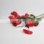 White Red Plastic PE for Rose Flower