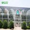 Glass Horticultural Greenhouse For Flower Growing