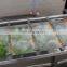 Hot new products fruits and vegetables Soaking washing machine vegetable washing machine fruit