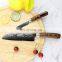 High Carbon Japanese 67 Layers VG-10 Damascus Steel Forged Chef Knife