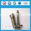 Diesel Fuel Injection Pump Plunger 80S Plunger 90S CMC90S with Good quality