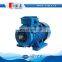 squirrel cage three phase induction motor