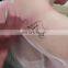 2020 new hot sale 4 in 1 multi-function Beauty Machine high quality opt laser hair removal Tattoo Removal picosecond RF