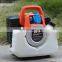 BISON(CHINA) 1KW 110V Gasoline Inverter Generator