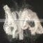 JC/ geotextile use white 6 denier 4 inch pp staple polypropylene fiber
