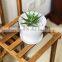 Plastic Plant Pot With Saucer, Decorative Plastic Gardening Flower Pot