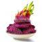 Best Seller - Good Quality With Cheap Price Dried Dragon Fruit Organic Made In Viet Nam