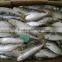 Sardinella lemuru from Chinese Manufacture