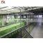 Commercial Food Leftover Dryer Drying Production Line Machine for Wasted Food Recycle