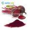 Sepchare high quality natural colouring red beet root powder
