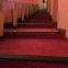 Chinese factory wholesale Auditorium Carpet Steps Down Orange Line Light Stair Lights