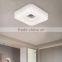 home decorative led ceiling light, ceiling mounted light fixture
