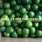 NATURAL GREEN LEMON/LIME/GREEN CITRUS WITHOUT SEED FROM VIETNAM FOR SALE