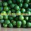 NATURAL GREEN LEMON/LIME/GREEN CITRUS WITHOUT SEED FROM VIETNAM FOR SALE