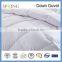 80% White Goose Down Duvet Warm quilt Soft quilt Light quilt