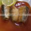 Canned Sardine fish in chili(125g/155g/425g)