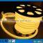 82' spool 24V 360 degree round blue neon light strip for building                        
                                                                                Supplier's Choice