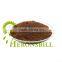 instant coffee powder offer a free sample