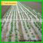 Breathable 100% PP non-woven fabric for weed control fabric or landscape cover