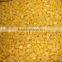 High quality IQF Frozen Sweet Corn for sale