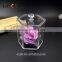 new arrival decorative small clear acrylic storage box