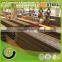 ASTM A36/A283-C/A516 grade55,60,65/ A572 Gr 50/60/70 high strength Steel Plate