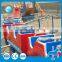 Amusement fairground adult electric manufacture mini roller coaster ride Dragon Train