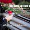 new modle European style economic coffin sales