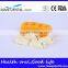 Pit and Fissure Model Dental Eduction Assitant No. DEA-19