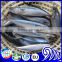 Frozen Pacific Mackerel Prices