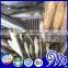 Frozen seafood & fish suppliers