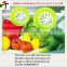 Manufacturer & Supplier & Exporter Eco-friendly Refrigerator ball