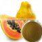 GMP Manufacturer Supply Papaya Extract Powder