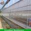 China factory price greenhouse window micro insect mesh