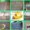 Wholesale Factory Design Layer Chicken Cage with 3 and 4 Tiers