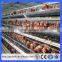 20 years lifespan A type of poultry egg chicken layer cage price/hen chicken cage(Guangzhou Factory)