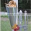 Chicken slaughtering tools stainless steel chicken killing cone