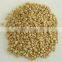Protein Food Machine Protein Food Production Line