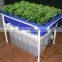 Indoor Aquoponics Hydroponics Fishing Tank with Vegetable Planter