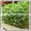 Nearly natural artificial bamboo fence artificial bamboo plants