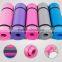 2017 Hot Sale Super Quality Cheap Eco-friendly PVC Yoga Mat Exercise Mat