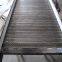 Stainless steel food conveyor belt Italy wholesaler