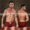 Hot sale professional male underwear models