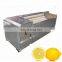 Vegetable fruit cleaning machine Brushing Washing Machine