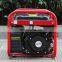 BISON(CHINA) How To Convert Portable Generator To Natural Gas