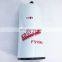 Manufacturer Truck Diesel Fuel filter element FS1040