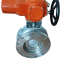 Flange tap butterfly valve